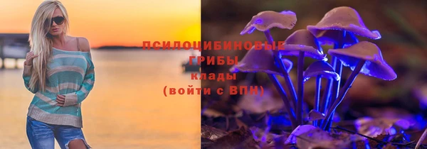 ALPHA PVP Горнозаводск