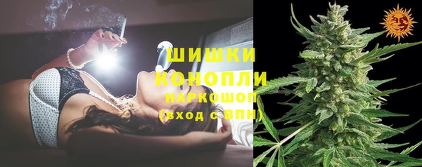 ПСИЛОЦИБИНОВЫЕ ГРИБЫ Бородино